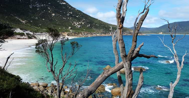 Wilsons Promontory National Park Day Trip photo 9