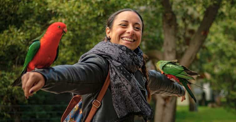 Great Ocean Road & 12 Apostles Day Trip photo 2