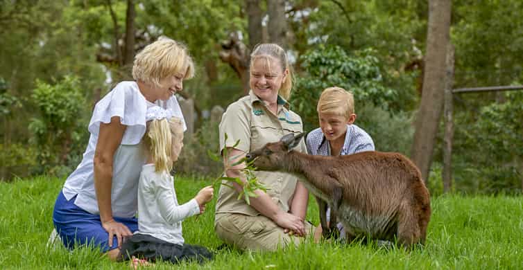 Healesville Sanctuary Wildlife Experience photo 3