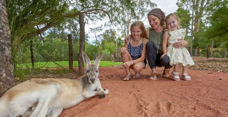Healesville Sanctuary Wildlife Experience photo 4