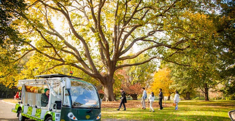 Royal Botanic Gardens Guided Walk photo 4
