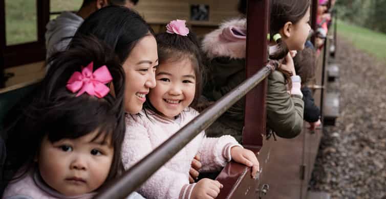 Puffing Billy Steam Train & Dandenong Ranges photo 5