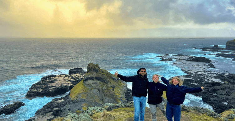 Phillip Island Penguin Parade Tour photo 6